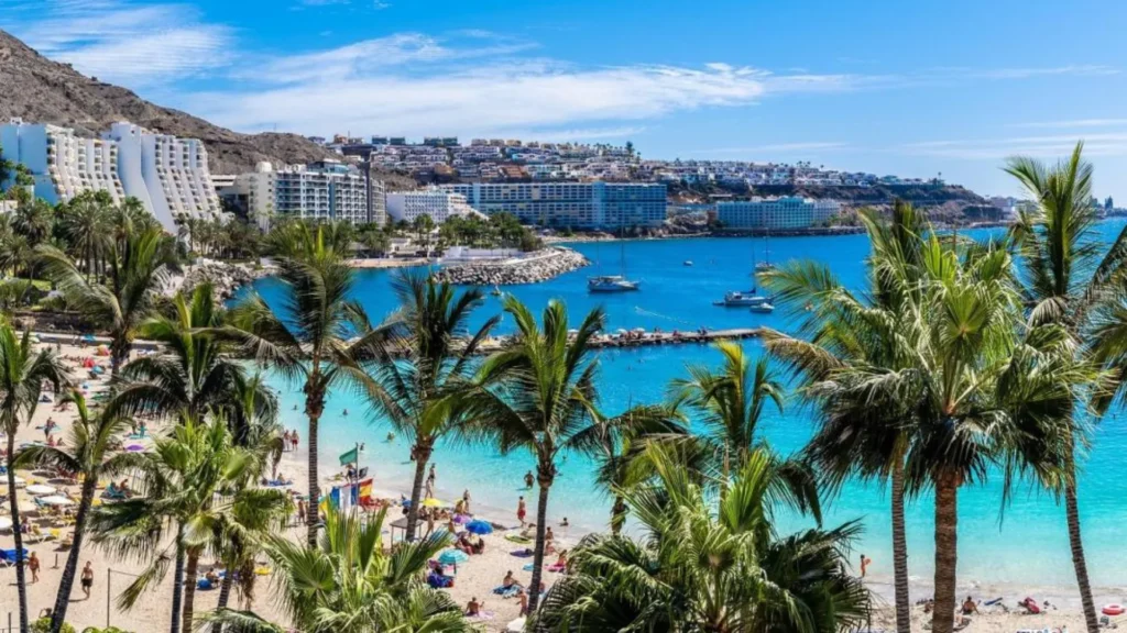 Strandbaai met palmbomen en turquoise zee op Gran Canaria