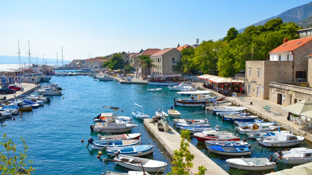 Brač